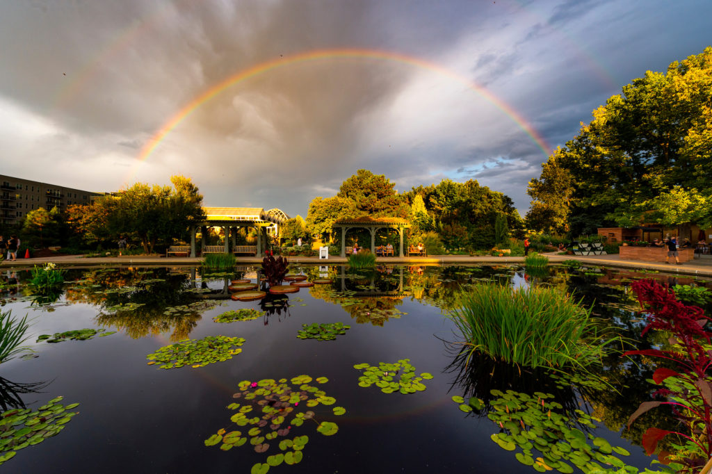 A rainbow in a cloudy sky over a garden with a large pond and pergolas