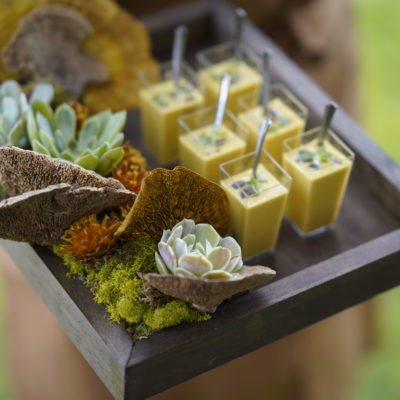 Someone holding a living passing tray with succulents, moss and other foliage with yellow soup in small tall rectangle glass topped with seeds and a small silver spoon