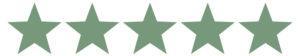 5 graphic stars in green